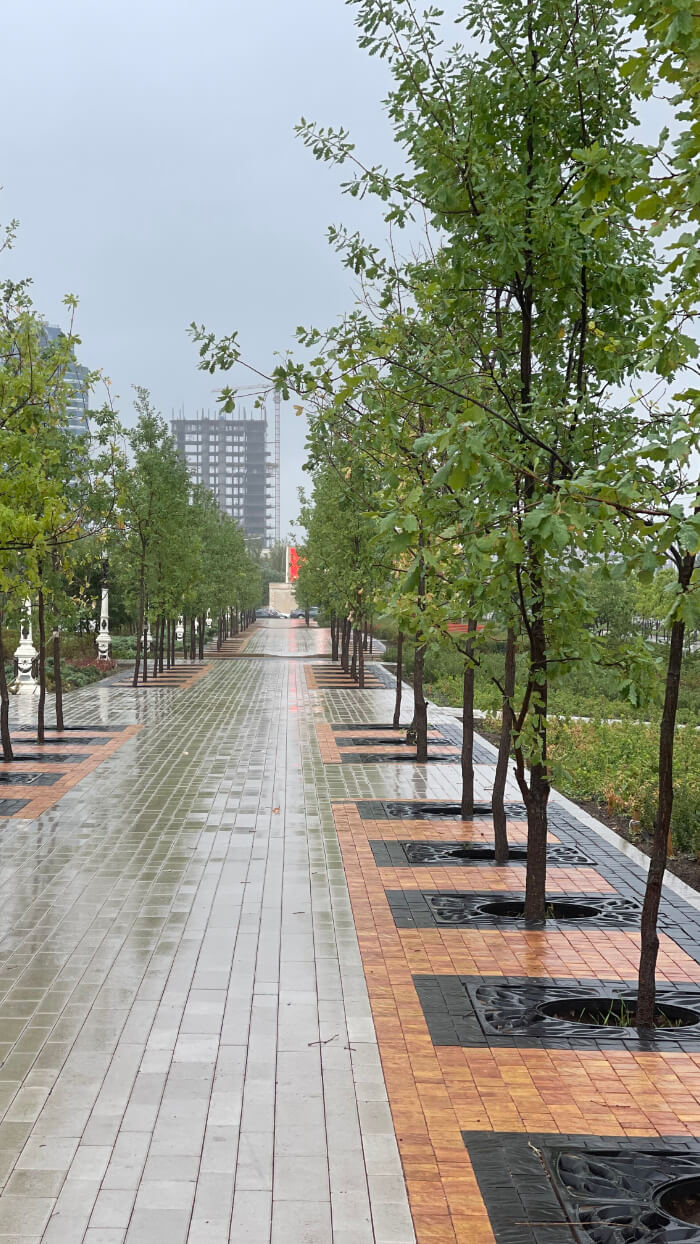 Приствольная решетка для дерева ZKING CRUST 1.2х1.2м Черная в Новосибирске фото