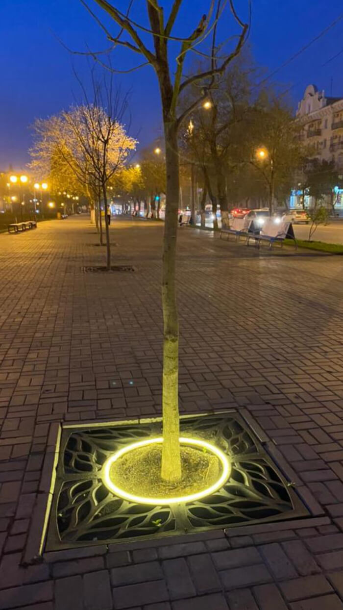 Приствольная решетка для дерева ZKING CRUST 1.2х1.2м Черная в Новосибирске фото